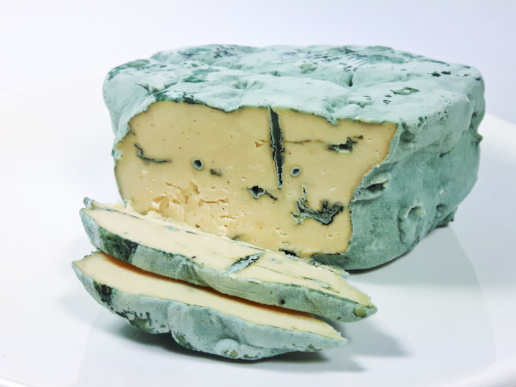 przepis wegański blue roquefort ser z nerkowców z niebieską pleśnią